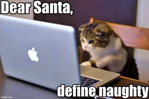 santa cat define naughy.jpg